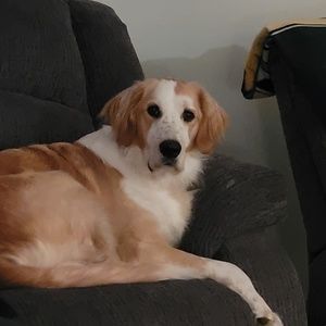 Meet your Posher, Pamela